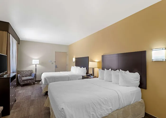 Motel Western Pioneer